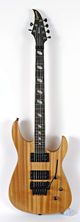 Caparison Dellinger II